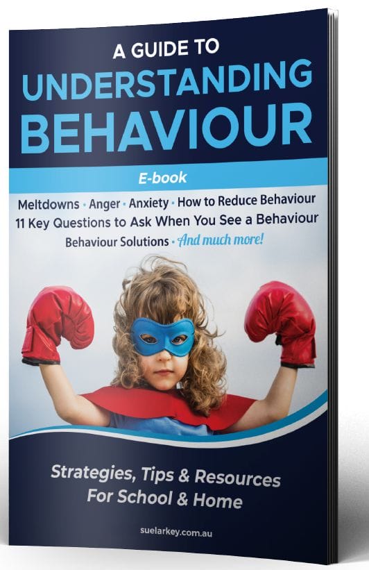 Emotional Regulation Ebook - 3D